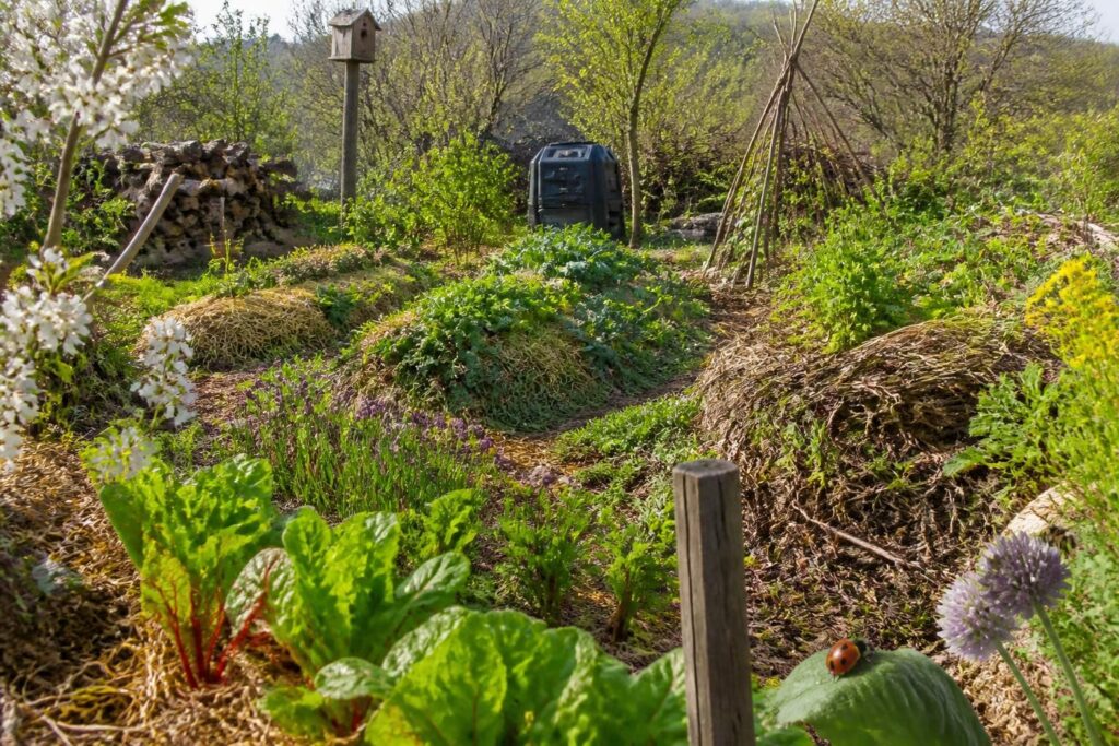 Permaculture au jardin : les principes pour débuter